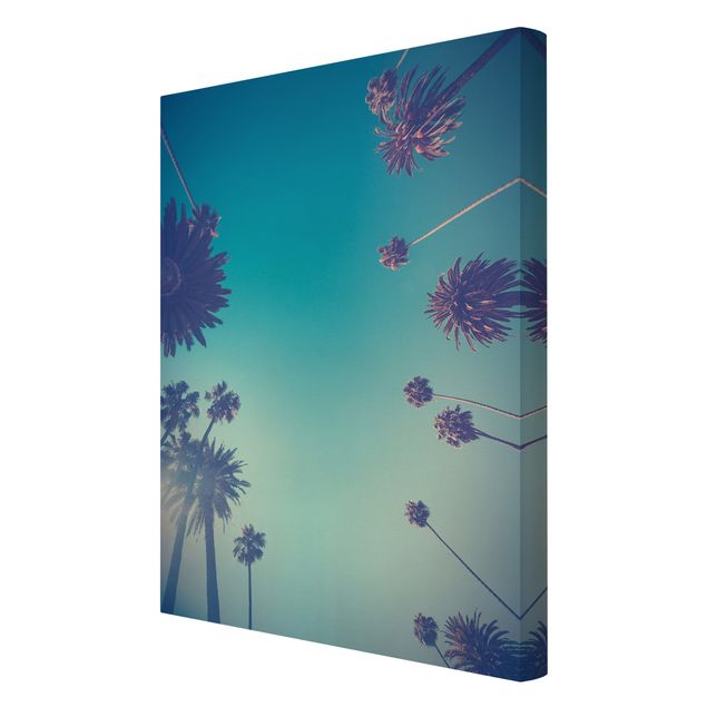 Schöne Wandbilder Tropische Pflanzen Palmen und Himmel II