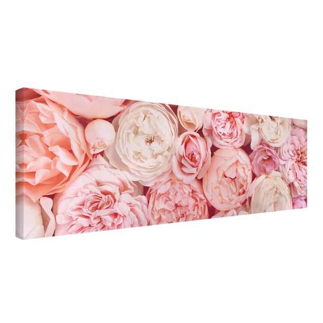 Wandbilder Vintage Rosen Rosé Koralle Shabby