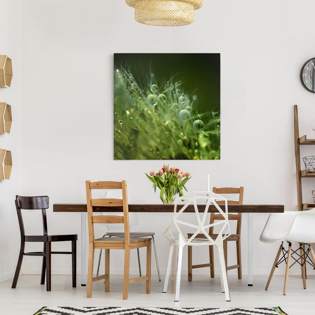 Moderne Leinwandbilder Wohnzimmer Grüne Samen im Regen