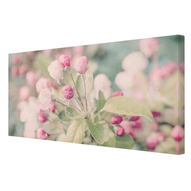 Schöne Leinwandbilder Apfelblüte Bokeh rosa