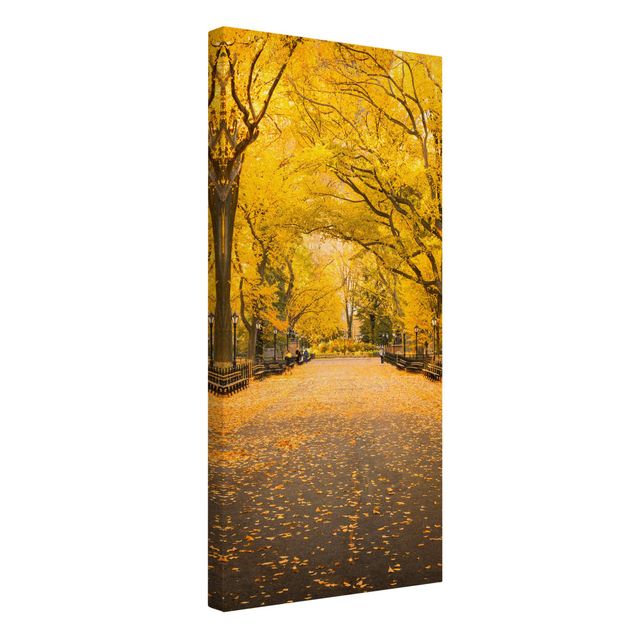 Leinwandbilder Skyline Herbst im Central Park