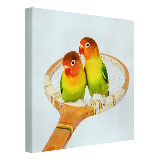 Kunstdrucke auf Leinwand Tennis mit Vögeln