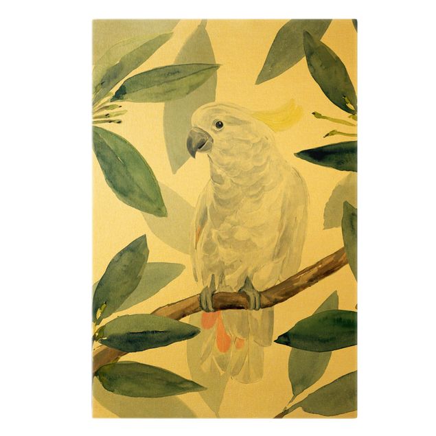Leinwandbild Kunstdruck Tropischer Kakadu I