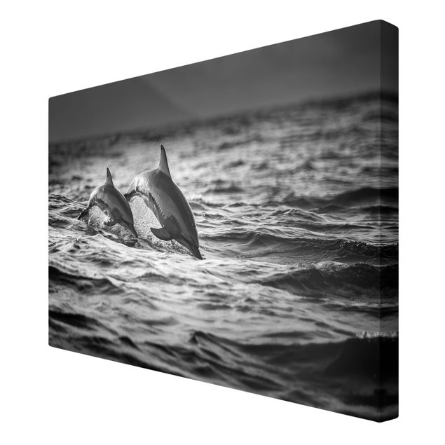 Wandbilder Wohnzimmer modern Zwei springende Delfine