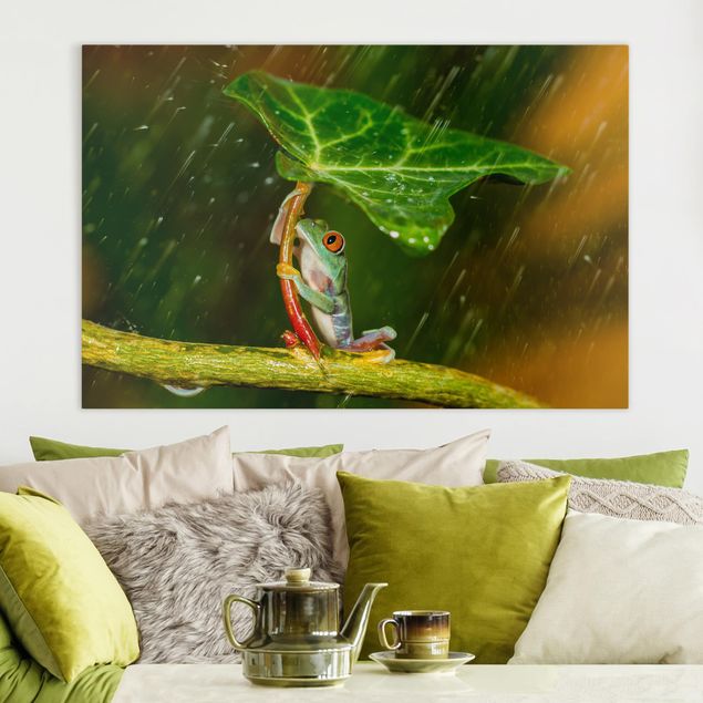 Leinwand Bilder XXL Ein Frosch im Regen