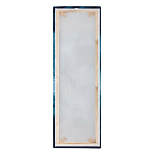 Leinwandbild - Blaue Pusteblume im Regen - Panorama Hochformat 3:1