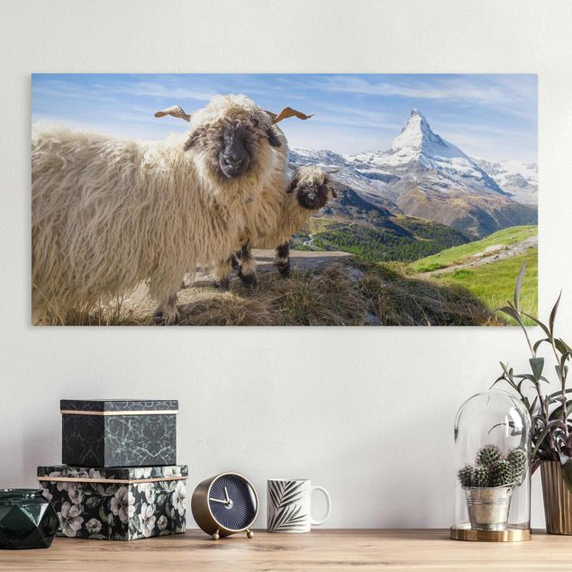 Wandbilder XXL Schwarznasenschafe von Zermatt