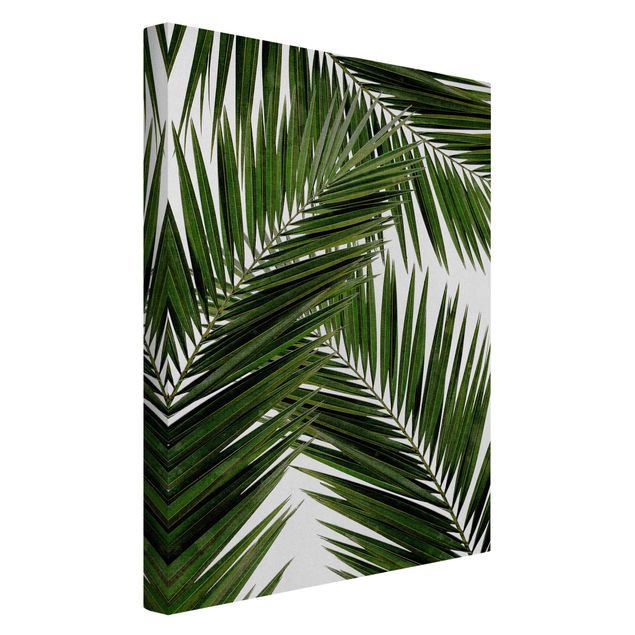 Leinwandbild Kunstdruck Blick durch grüne Palmenblätter