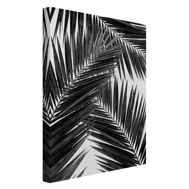 Leinwandbilder Schwarz-Weiß Blick durch Palmenblätter schwarz weiß