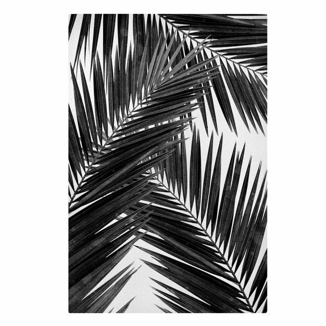 Wandbilder Wohnzimmer modern Blick durch Palmenblätter schwarz weiß