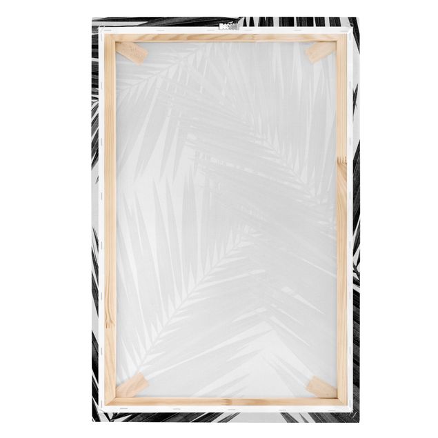 Leinwandbilder Blick durch Palmenblätter schwarz weiß
