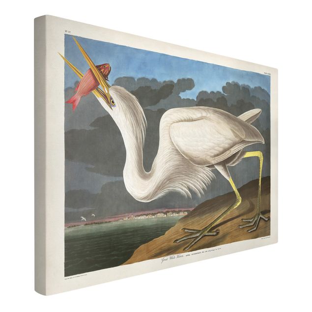 Wandbilder Tiere Vintage Lehrtafel Großer weißer Reiher