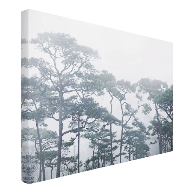 Wandbilder Wohnzimmer modern Baumkronen im Nebel