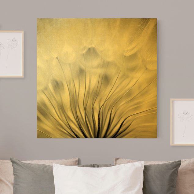 Bilder für die Wand Traumhafte Pusteblume Schwarz-Weiß