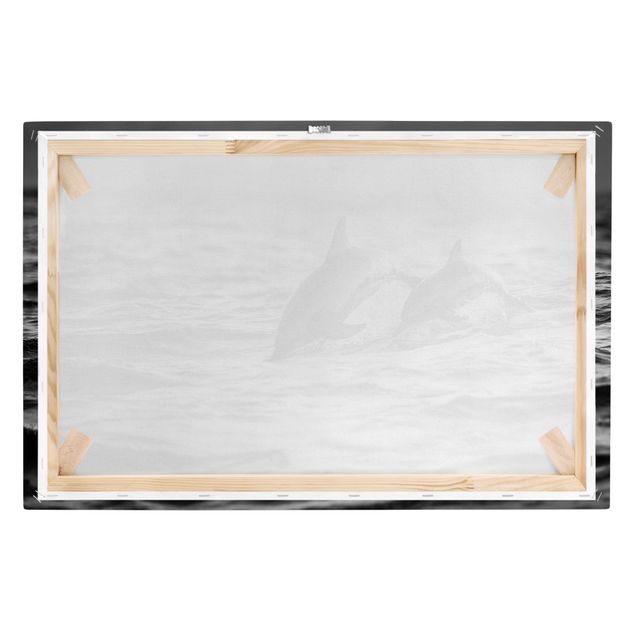 Wandbilder Zwei springende Delfine