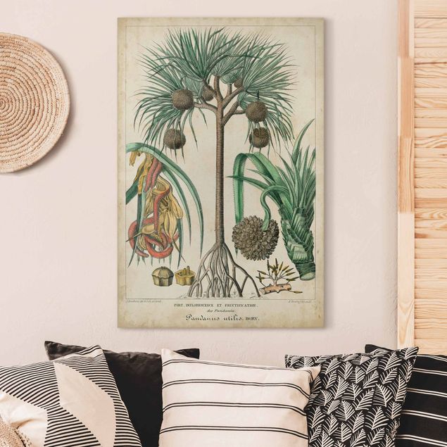 Leinwandbilder XXL Vintage Lehrtafel Exotische palmen I