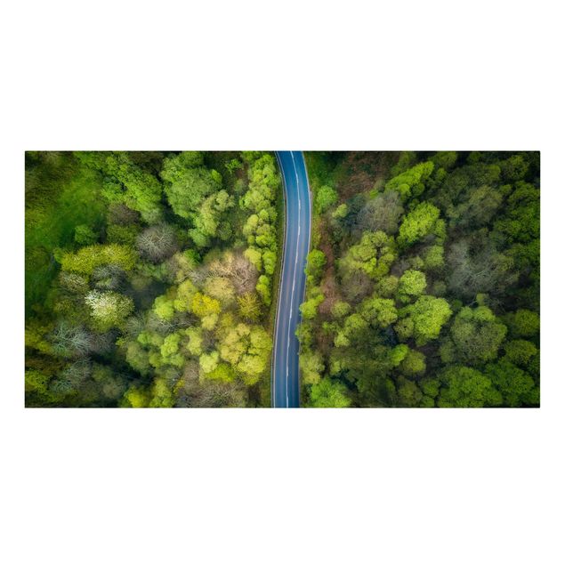 Bilder für die Wand Luftbild - Asphaltstraße im Wald