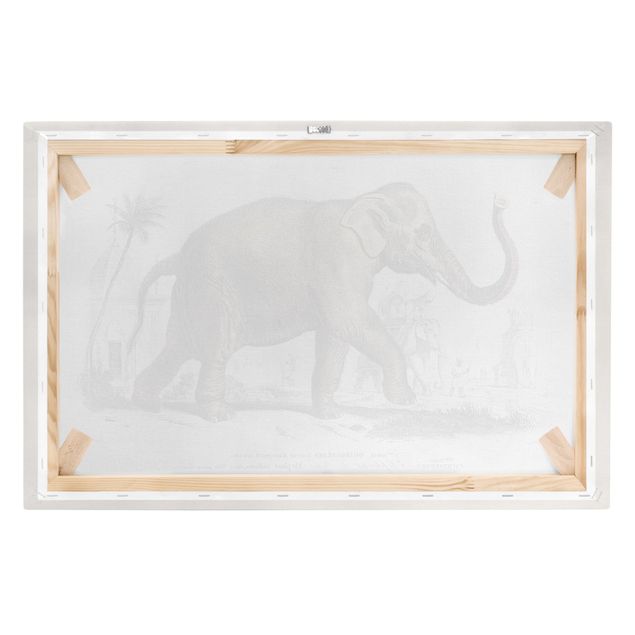 Schöne Wandbilder Vintage Lehrtafel Elefant