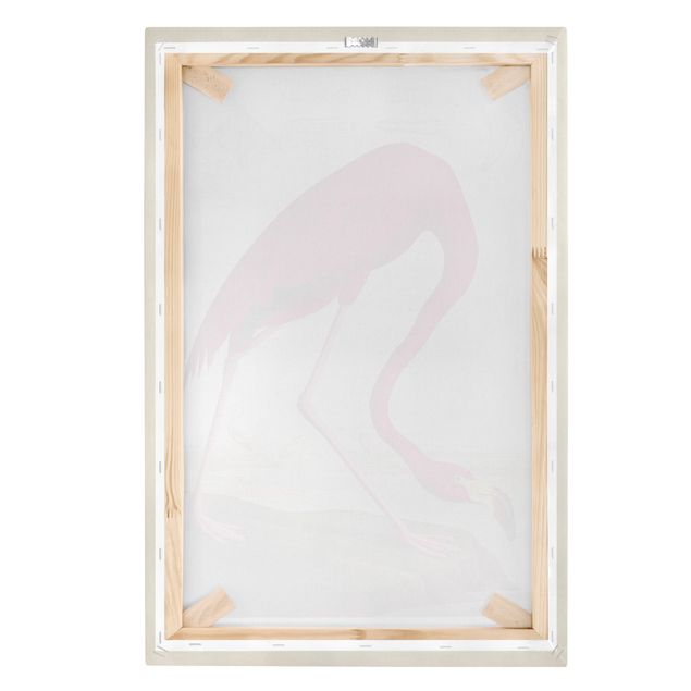 Schöne Wandbilder Vintage Lehrtafel Amerikanischer Flamingo