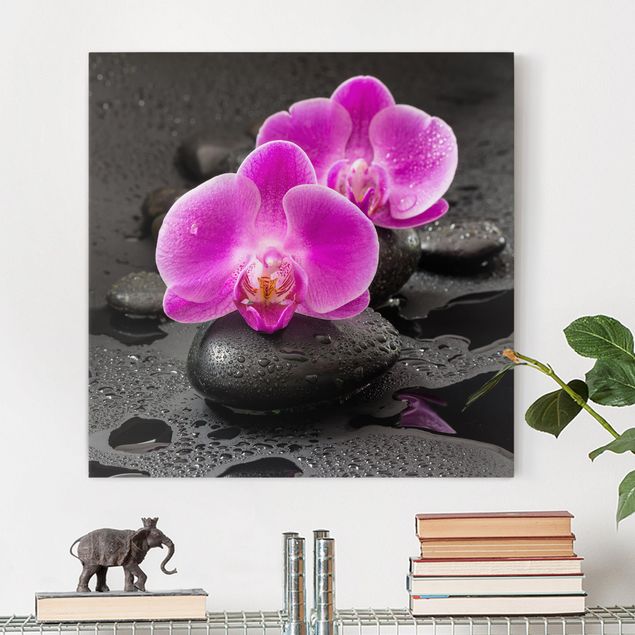 Wandbilder XXL Pinke Orchideenblüten auf Steinen mit Tropfen