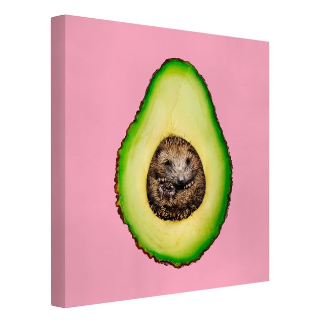 Tierbilder auf Leinwand Avocado mit Igel