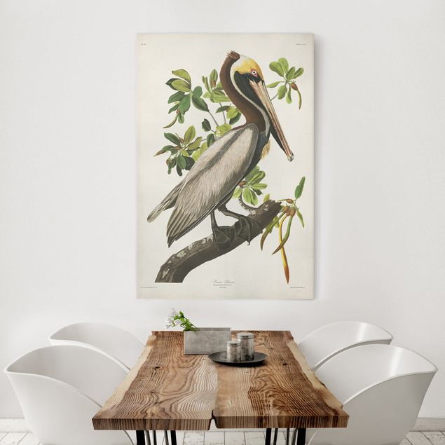 Leinwand Vogel Vintage Lehrtafel Brauner Pelikan
