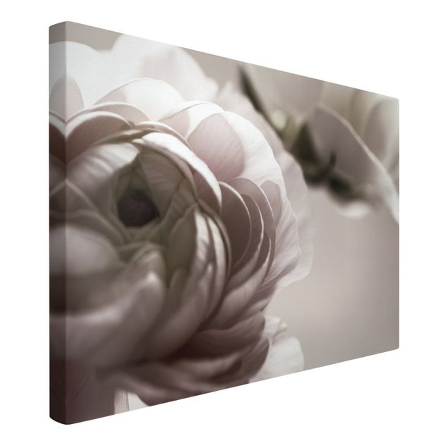 Moderne Leinwandbilder Wohnzimmer Dunkle Blüte im Fokus