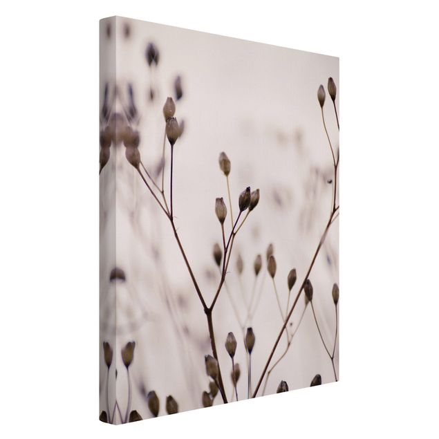 Leinwandbild Kunstdruck Dunkle Knospen am Wildblumenzweig
