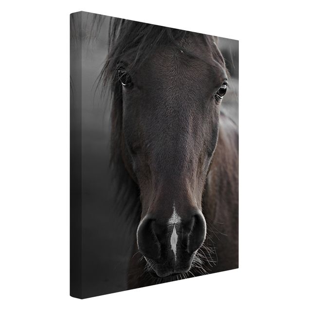Leinwandbild Kunstdruck Dunkles Pferd