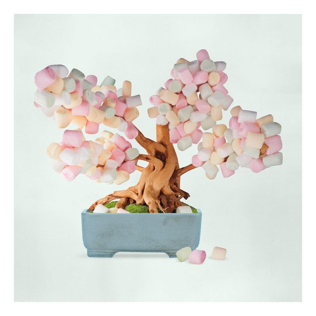 Bilder auf Leinwand Bonsai mit Marshmallows