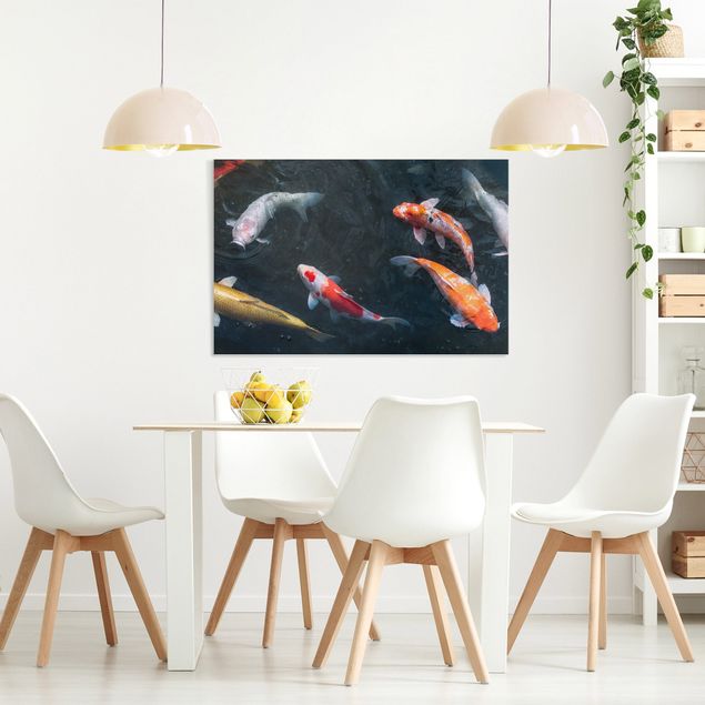 Wandbilder Fische Kois im Teich