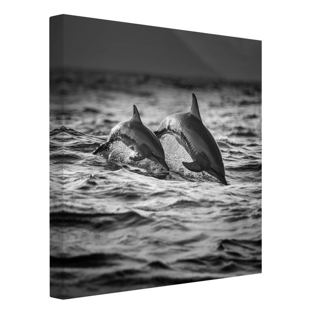 Leinwandbilder Schwarz-Weiß Zwei springende Delfine