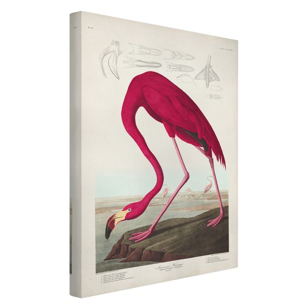 Leinwand Blumen Vintage Lehrtafel Amerikanischer Flamingo