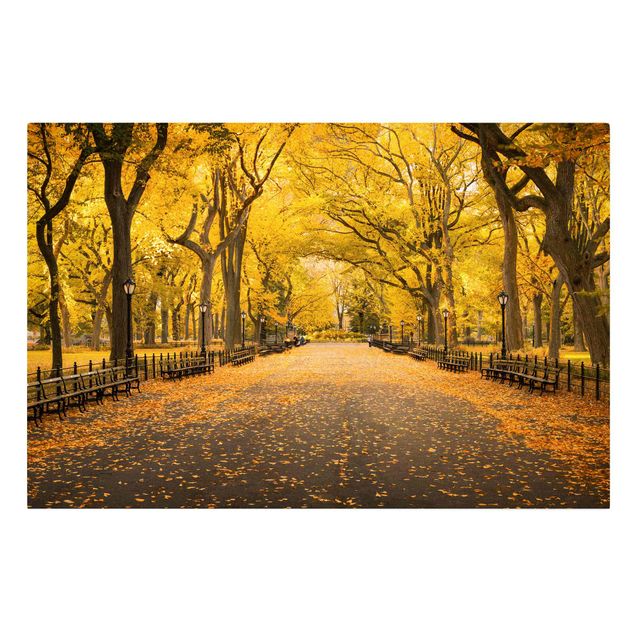 Moderne Leinwandbilder Wohnzimmer Herbst im Central Park