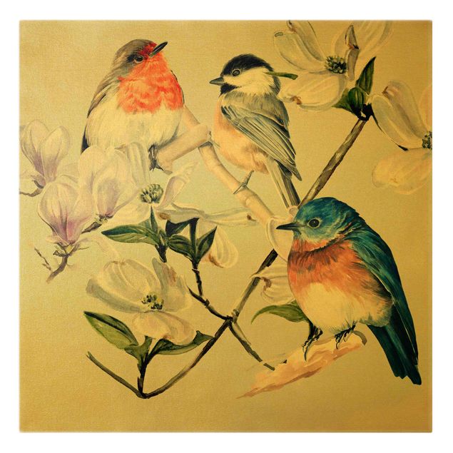 Wandbilder Tiere Bunte Vögel auf einem Magnolienast I