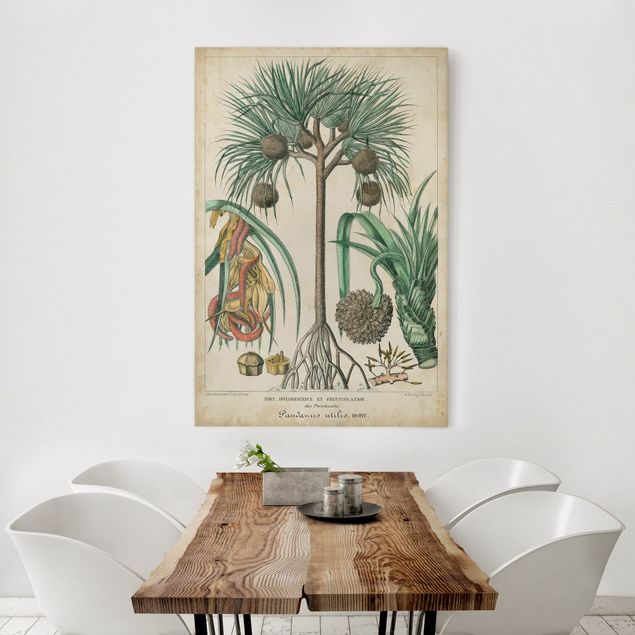 Leinwand Blumen Vintage Lehrtafel Exotische palmen I