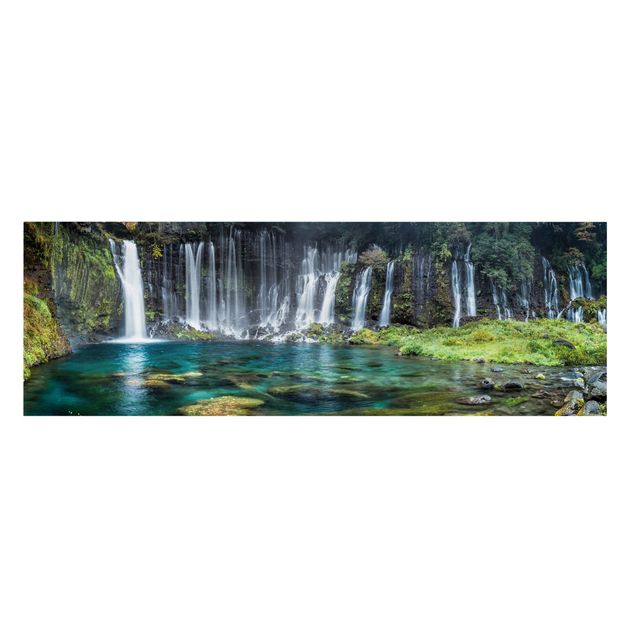 Leinwandbilder Wald Shiraito Wasserfall