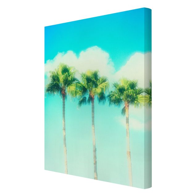 Wandbilder Palmen vor Himmel Blau