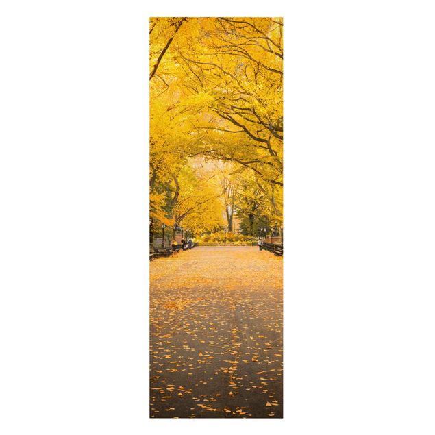 Leinwandbilder Wohnzimmer modern Herbst im Central Park