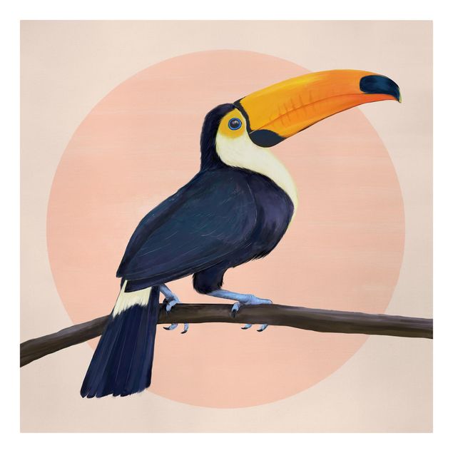 Tierbilder auf Leinwand Illustration Vogel Tukan Malerei Pastell