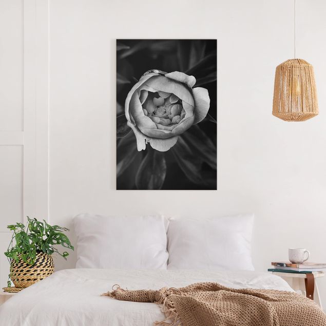 Rosen Bild auf Leinwand Pfingstrosenblüte vor Blättern Schwarz Weiß