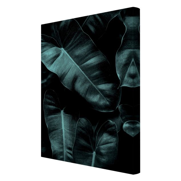 Leinwandbilder Dschungel Blätter Dunkelgrün