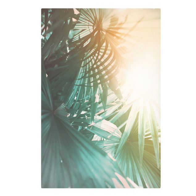 Bilder für die Wand Tropische Pflanzen Palmen bei Sonnenuntergang