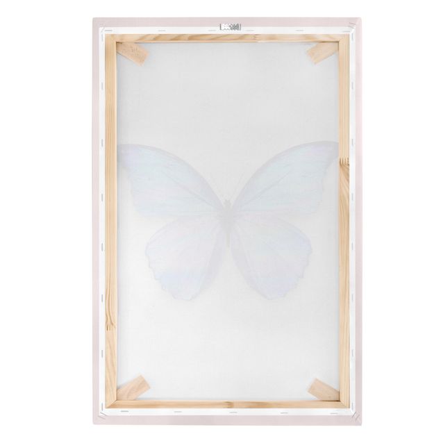 Bilder für die Wand Holografischer Schmetterling