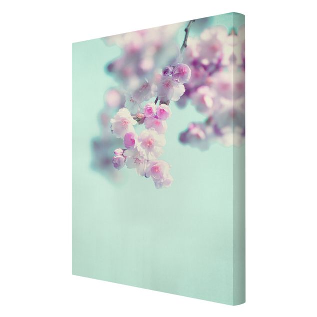 Bilder auf Leinwand Farbenfrohe Kirschblüten