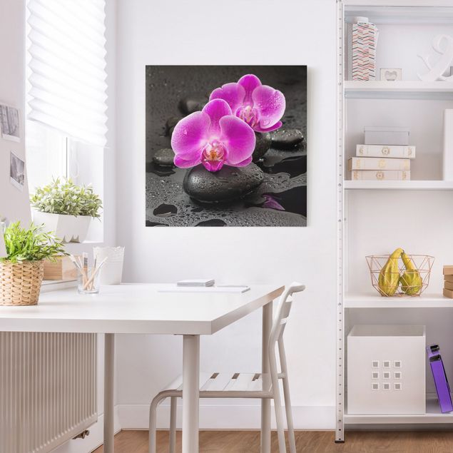 Leinwandbild Orchidee Pinke Orchideenblüten auf Steinen mit Tropfen