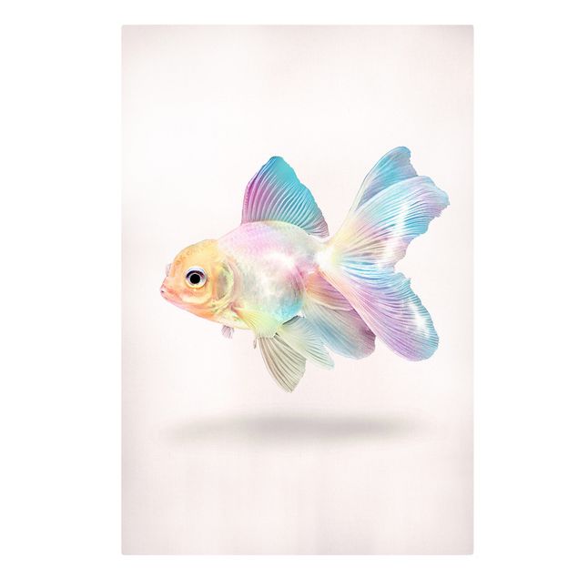 Wandbilder Tiere Fisch in Pastell