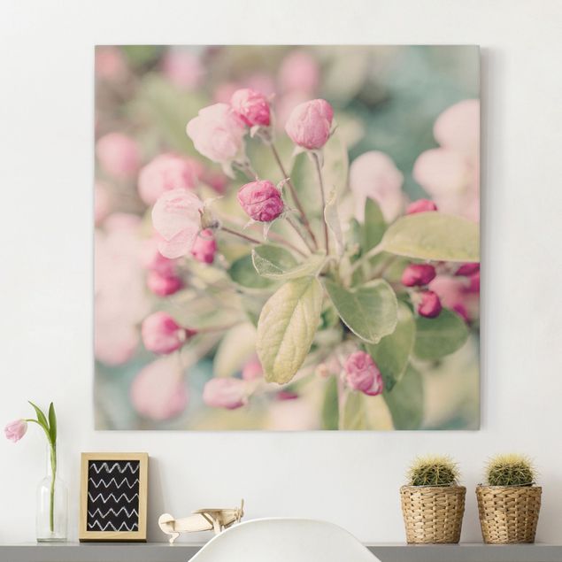 Wandbilder XXL Apfelblüte Bokeh rosa