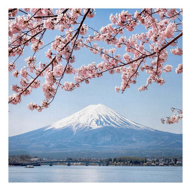 Leinwandbilder Landschaft Kirschblüten mit Berg Fuji