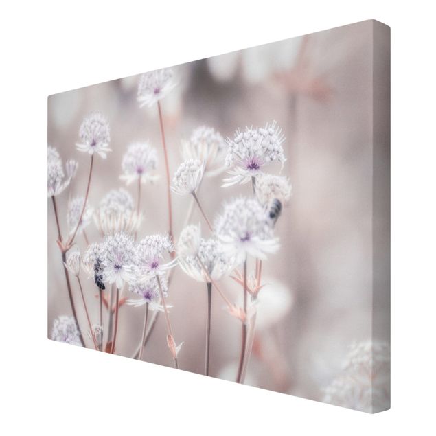 Bilder für die Wand Federleichte Wildblumen